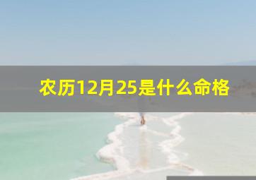 农历12月25是什么命格