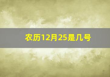 农历12月25是几号