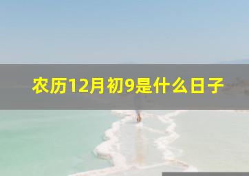 农历12月初9是什么日子