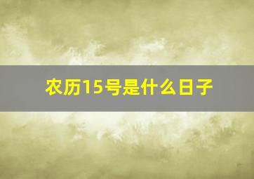 农历15号是什么日子