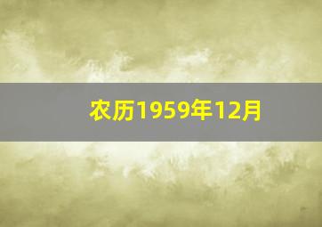 农历1959年12月