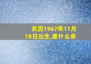 农历1967年11月18日出生,是什么命