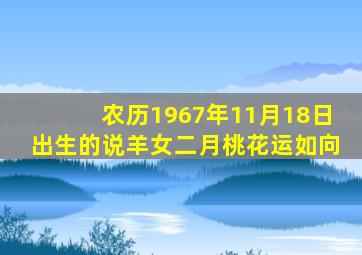 农历1967年11月18日出生的说羊女二月桃花运如向