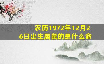 农历1972年12月26日出生属鼠的是什么命