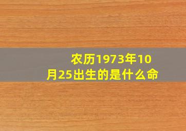 农历1973年10月25出生的是什么命