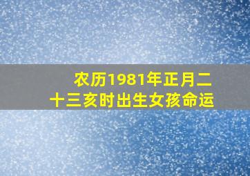 农历1981年正月二十三亥时出生女孩命运