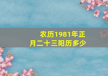 农历1981年正月二十三阳历多少