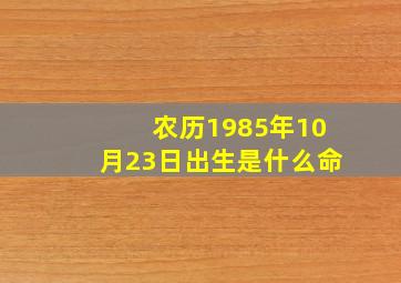 农历1985年10月23日出生是什么命