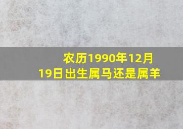 农历1990年12月19日出生属马还是属羊