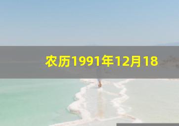 农历1991年12月18