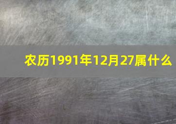 农历1991年12月27属什么