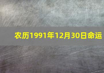 农历1991年12月30日命运