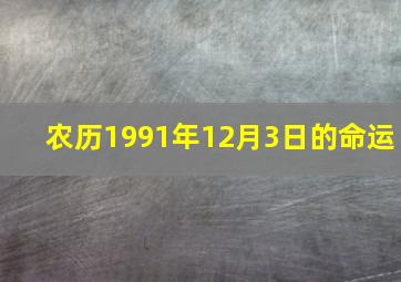 农历1991年12月3日的命运