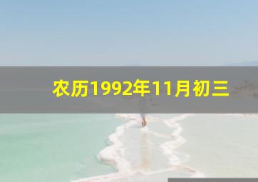 农历1992年11月初三