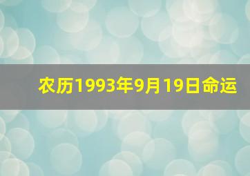 农历1993年9月19日命运