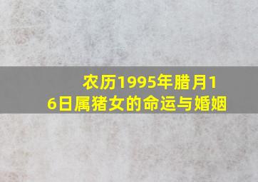 农历1995年腊月16日属猪女的命运与婚姻