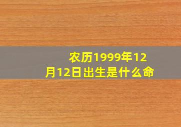 农历1999年12月12日出生是什么命