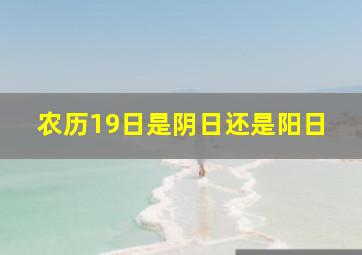 农历19日是阴日还是阳日