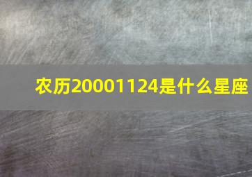 农历20001124是什么星座