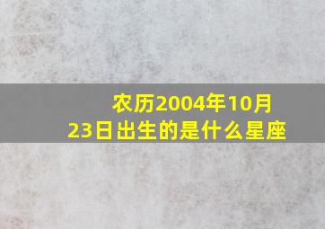 农历2004年10月23日出生的是什么星座