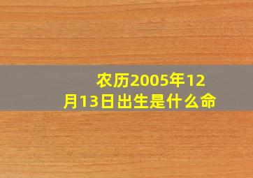 农历2005年12月13日出生是什么命