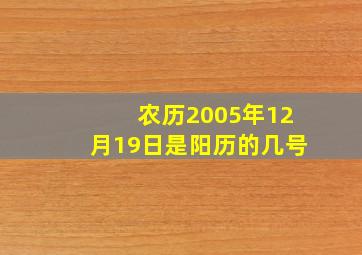 农历2005年12月19日是阳历的几号