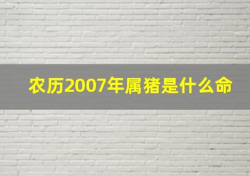 农历2007年属猪是什么命