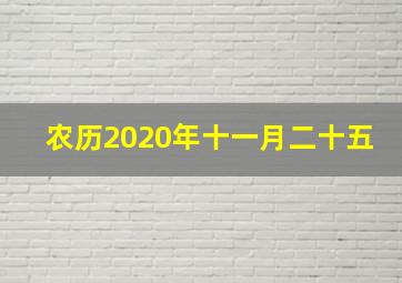 农历2020年十一月二十五