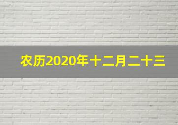 农历2020年十二月二十三