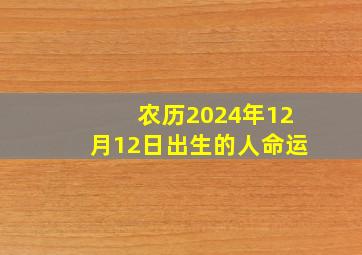 农历2024年12月12日出生的人命运