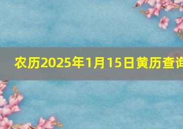 农历2025年1月15日黄历查询