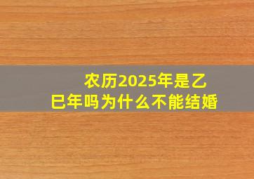 农历2025年是乙巳年吗为什么不能结婚