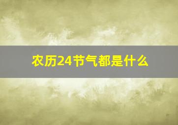 农历24节气都是什么