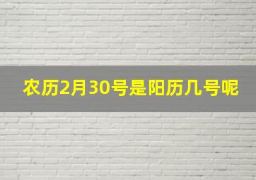 农历2月30号是阳历几号呢