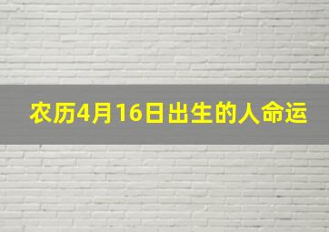 农历4月16日出生的人命运