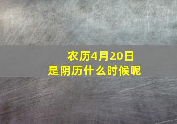 农历4月20日是阴历什么时候呢