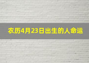 农历4月23日出生的人命运