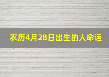 农历4月28日出生的人命运