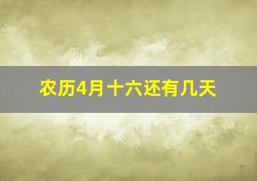 农历4月十六还有几天