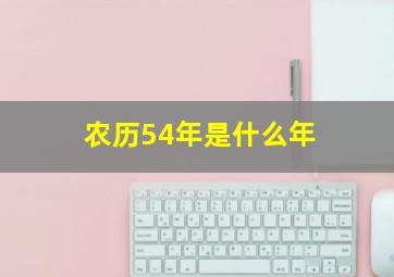 农历54年是什么年