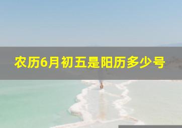 农历6月初五是阳历多少号