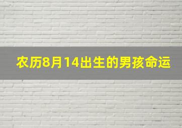 农历8月14出生的男孩命运