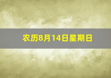 农历8月14日星期日