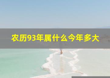 农历93年属什么今年多大