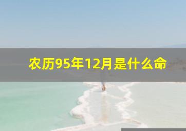 农历95年12月是什么命