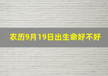 农历9月19日出生命好不好