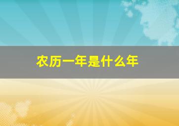 农历一年是什么年