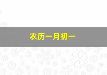 农历一月初一