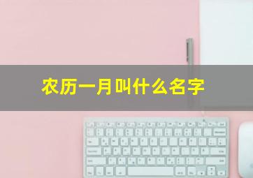 农历一月叫什么名字