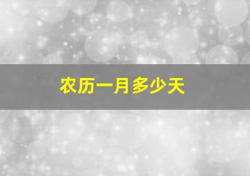 农历一月多少天